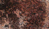 Sagenite Rock Slab 81