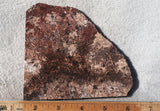 Sagenite Rock Slab 92