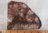 Sagenite Rock Slab 92