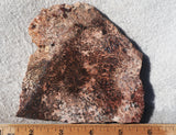 Sagenite Rock Slab 89