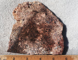 Sagenite Rock Slab 89