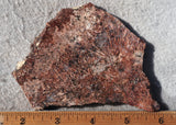 Bargain Bin D Slab 845