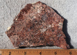 Bargain Bin D Slab 845