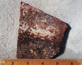 Sagenite Rock Slab 82