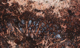 Sagenite Rock Slab 82
