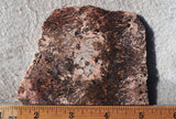Sagenite Rock Slab 88