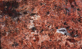 Sagenite Rock Slab 97