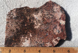 Sagenite Rock Slab 90