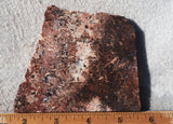 Sagenite Rock Slab 94