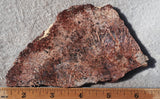 Sagenite Rock Slab 96