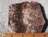 Sagenite Rock Slab 91