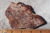 Sagenite Rock Slab 98