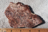 Sagenite Rock Slab 98