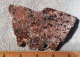 Sagenite Rock Slab 78