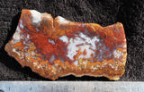 Mexican Moss Agate Rock Slab 286