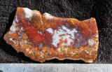 Mexican Moss Agate Rock Slab 286