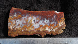 Mexican Moss Agate Rock Slab 66