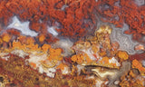 Mexican Moss Agate Rock Slab 291