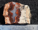 Persian Flame Agate Rock Slab 33