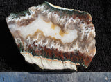 Persian Flame Agate Rock Slab 29