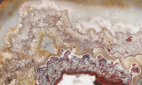 Mexican Crazy Lace Agate Rock Slab 425