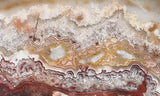 Mexican Crazy Lace Agate Rock Slab 409