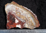 Mexican Crazy Lace Agate Rock Slab 409