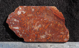 Mexican Moss Agate Rock Slab 78