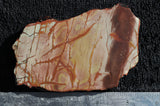 Dead Camel Jasper Slab 92