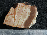 Dead Camel Jasper Slab 98