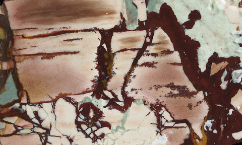 Dead Camel Jasper Slab 91