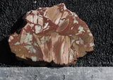 Dead Camel Jasper Slab 95