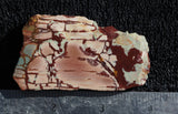 Dead Camel Jasper Slab 89