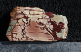 Dead Camel Jasper Slab 89