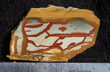 Owyhee Jasper Rock Slab 413