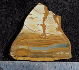 Owyhee Jasper Rock Slab 496