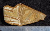 Owyhee Jasper Rock Slab 494