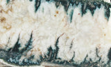 Forest Green Plume Agate Slab 96