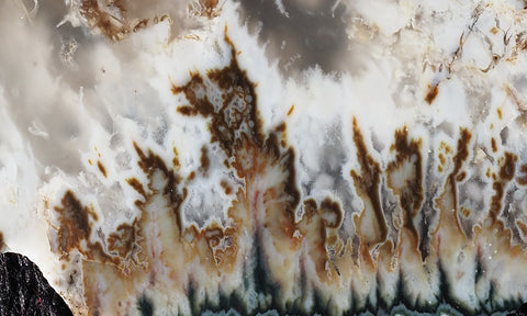 Forest Green Plume Agate Slab 97