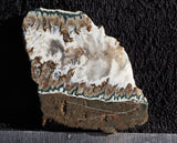 Forest Green Plume Agate Slab 97