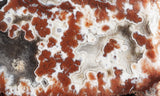 Cady Mountain Rock Slab 177