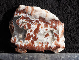 Cady Mountain Rock Slab 177