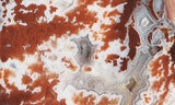 Cady Mountain Rock Slab 192