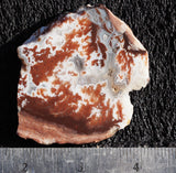 Cady Mountain Rock Slab 192