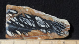 Picasso Stone Rock Slab 271