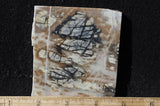 Picasso Stone Rock Slab 271