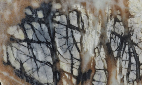 Picasso Stone Rock Slab 271