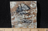 Picasso Stone Rock Slab 278