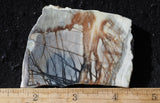 Picasso Stone Rock Slab 293