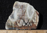 Bargain Bin B Slab 929